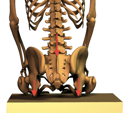腰痛予防：正しい座り方