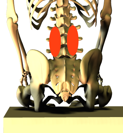 腰椎周囲の腰痛